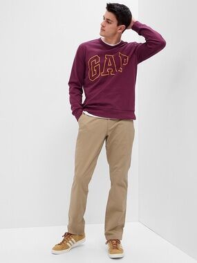 GAP Factory Men’s Tan Chinos